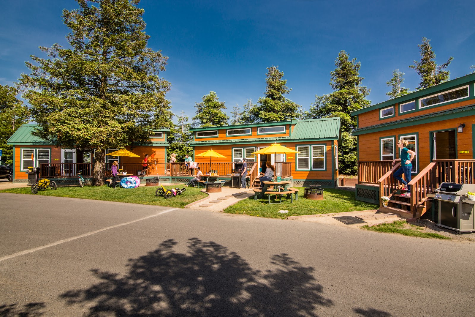 San Francisco North-Petaluma KOA