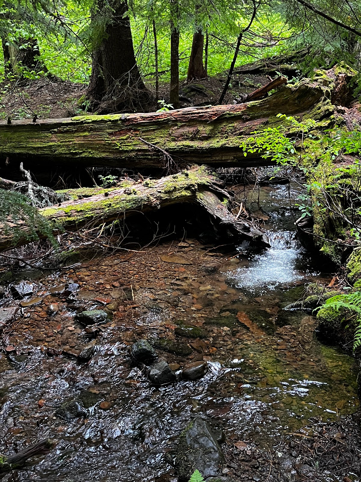 Devils Half Acre Campground