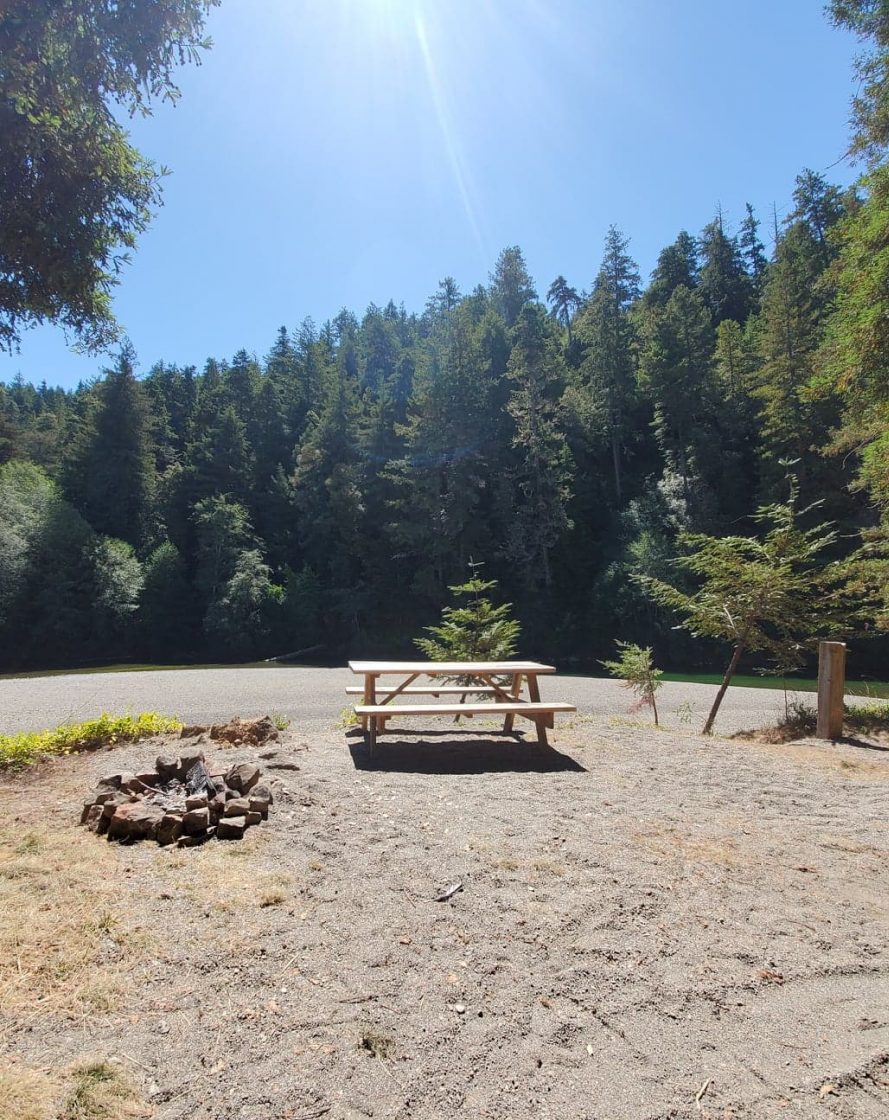 Gualala River Redwood Park