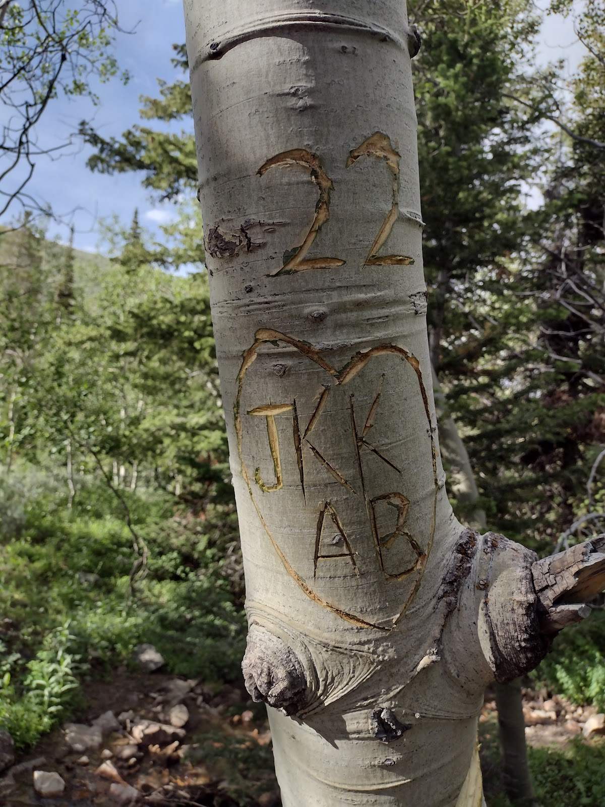 Bennett Springs Campground