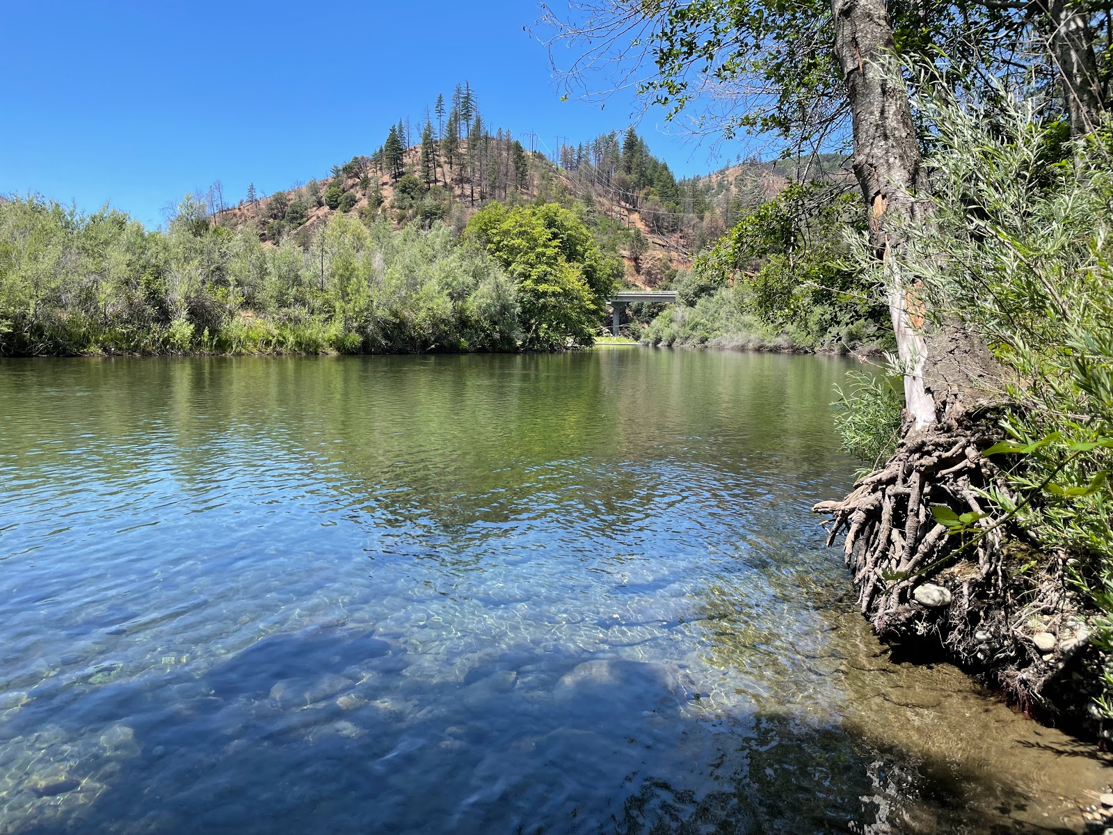 Pigeon Point Campground
