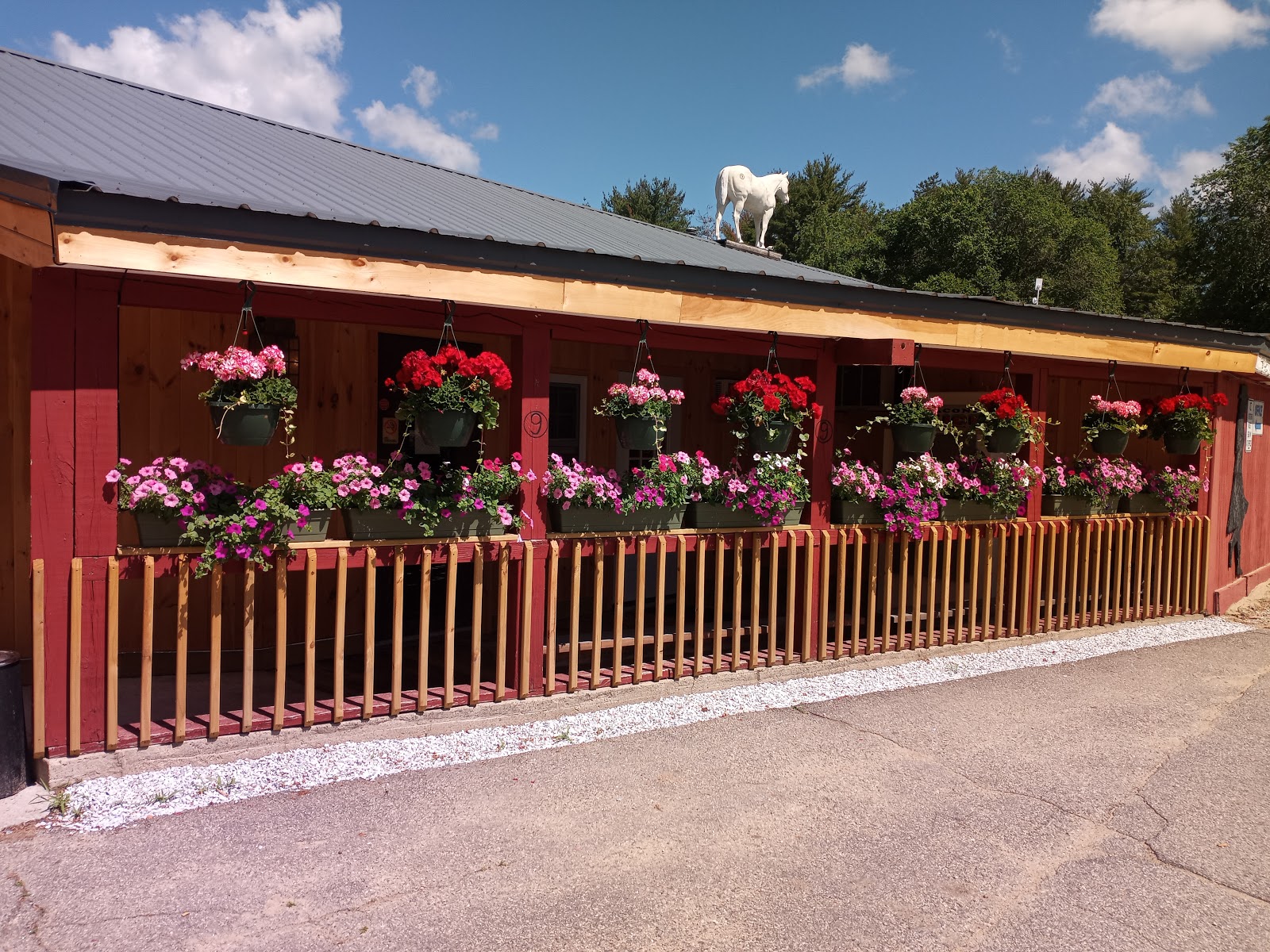 Circle 9 Ranch Campground