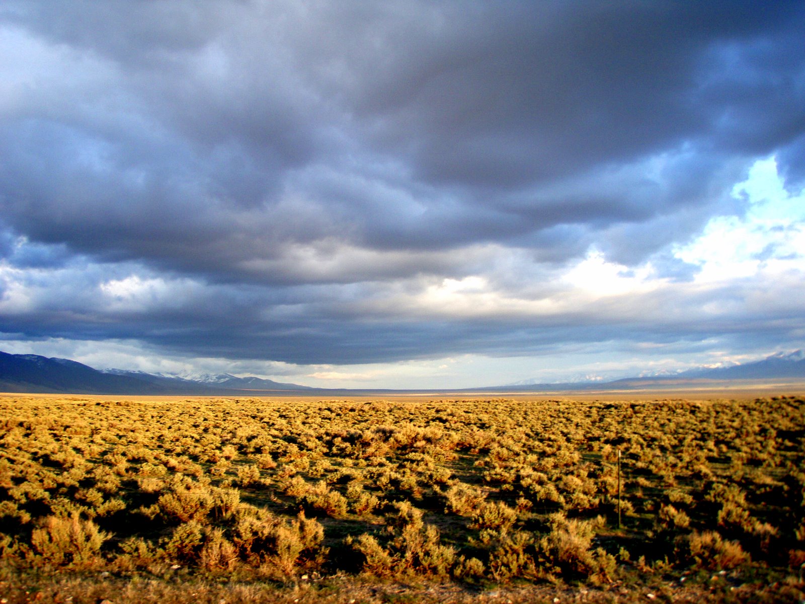 Hawley Creek Lower Campground