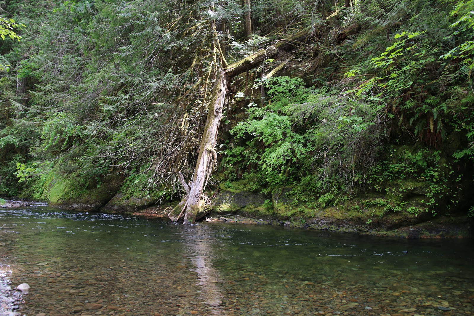 Blue Pool Campground (Middle Fork Ranger District)