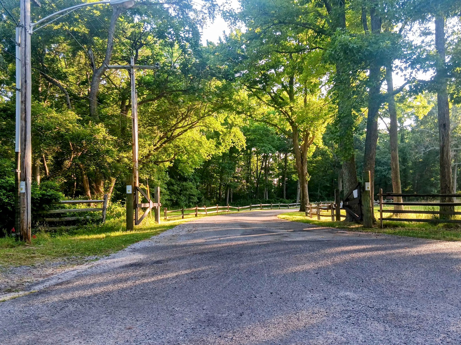 Allaire State Park Campground