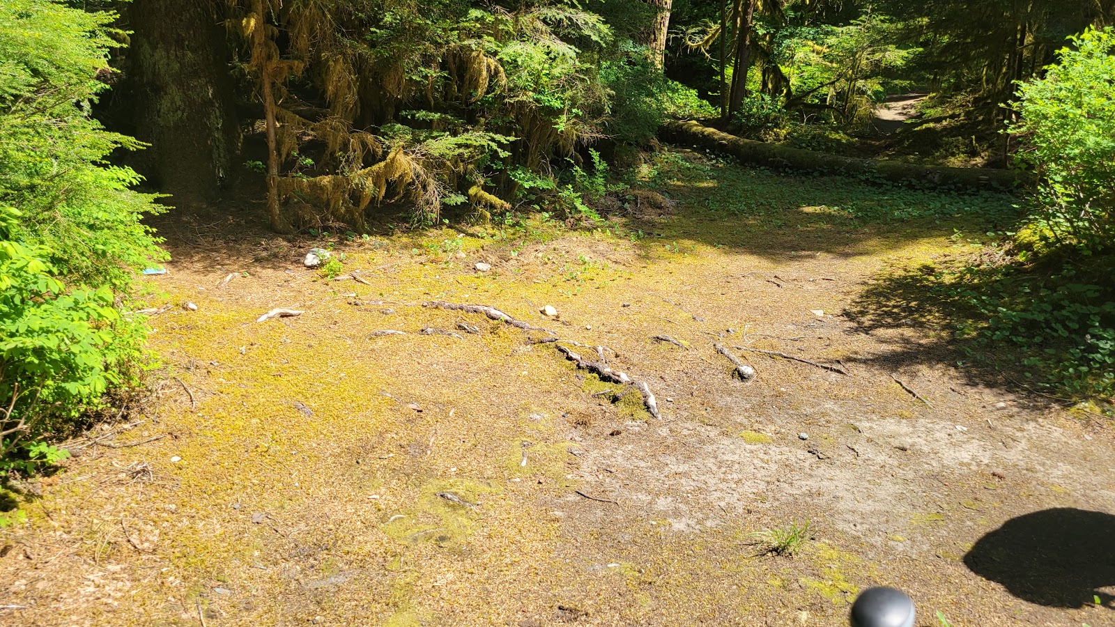 Esswine Group Campground