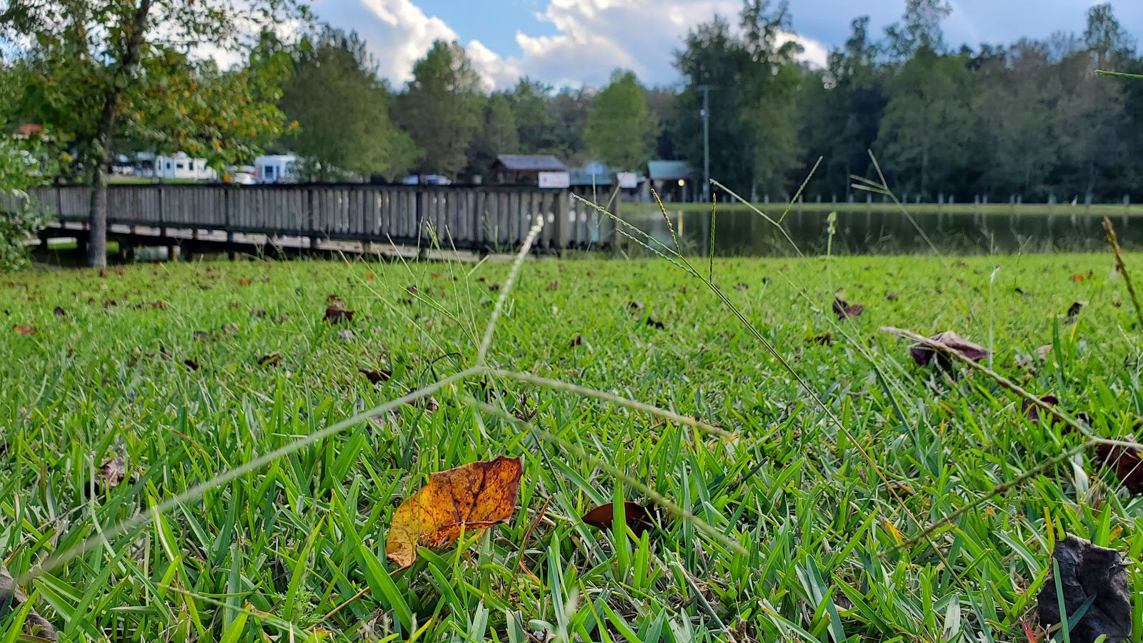 Diamond Lake RV Park