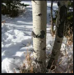 Sinks Canyon State Park