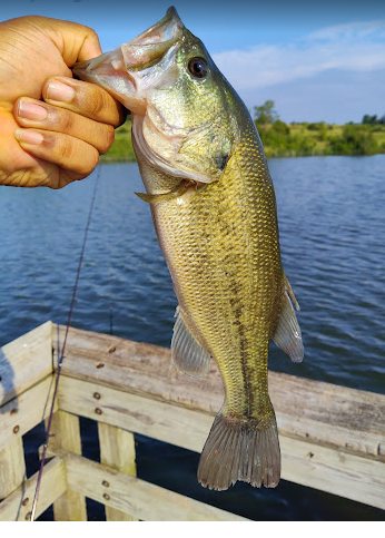 Walnut Creek Lake & Recreation