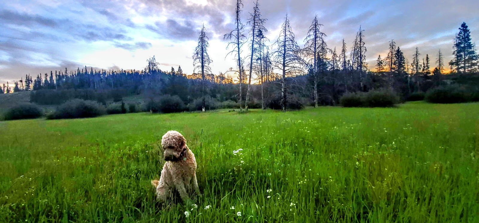 Jack Creek Campground