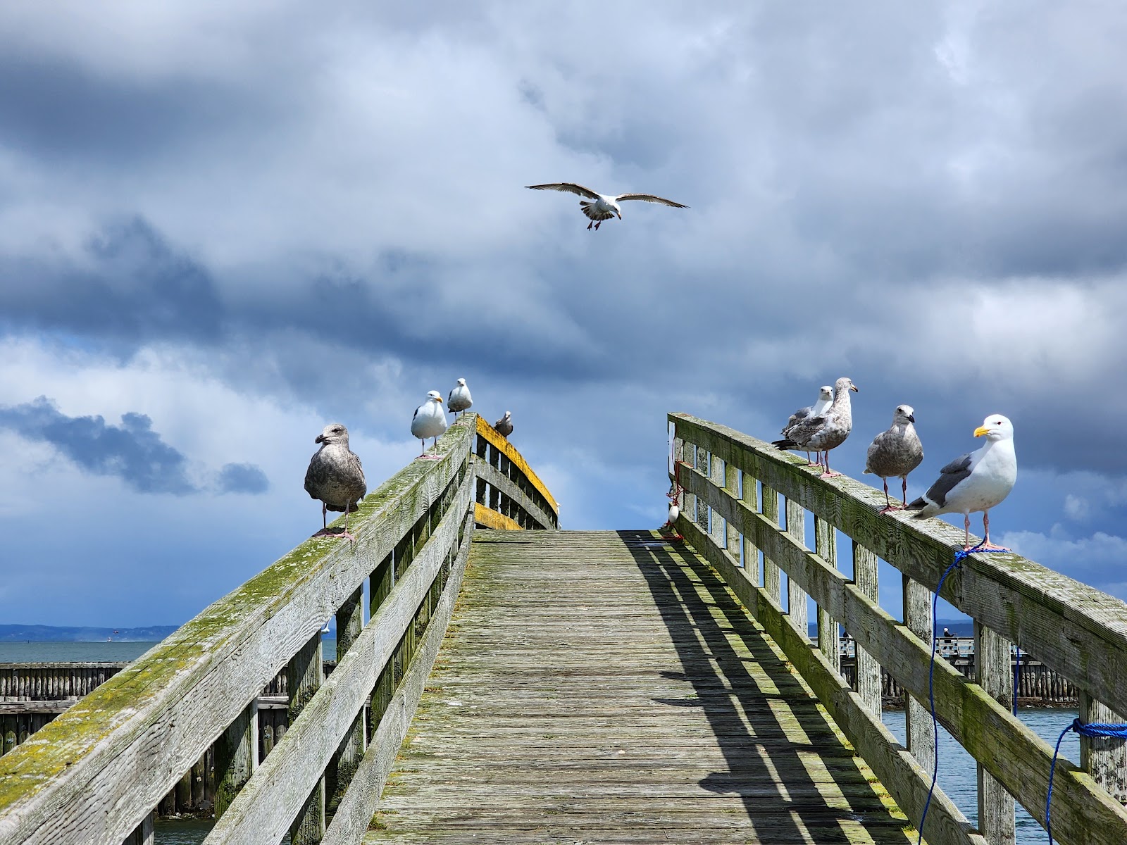Pacific Motel and RV