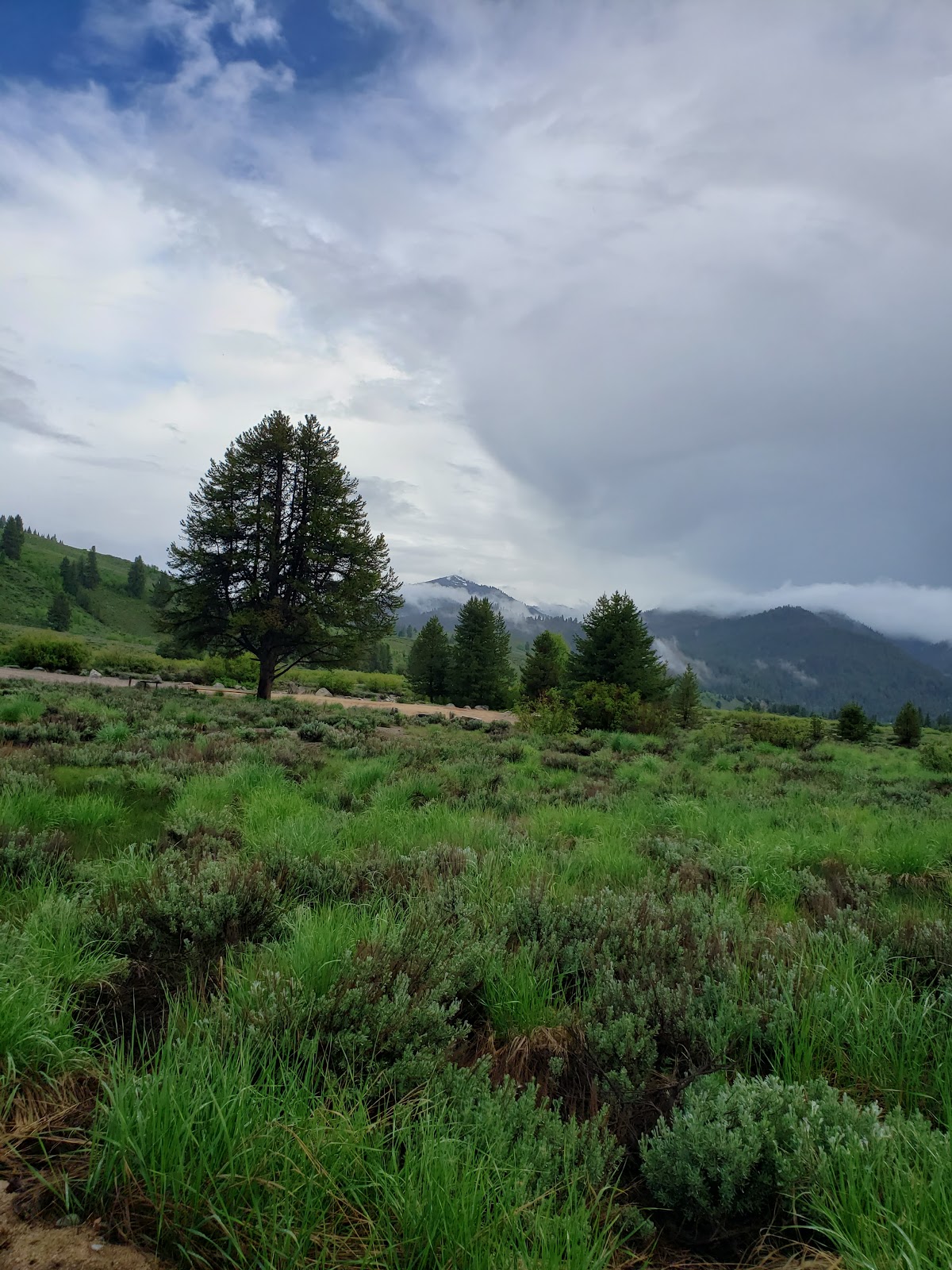 Skeleton Creek Campground