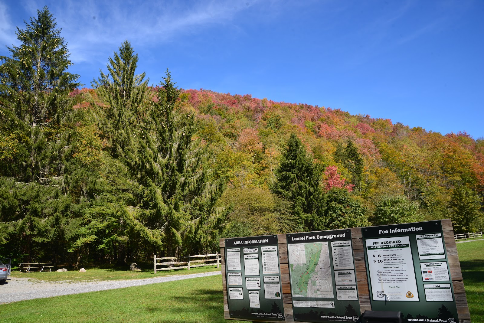 Laurel Fork NF Campground