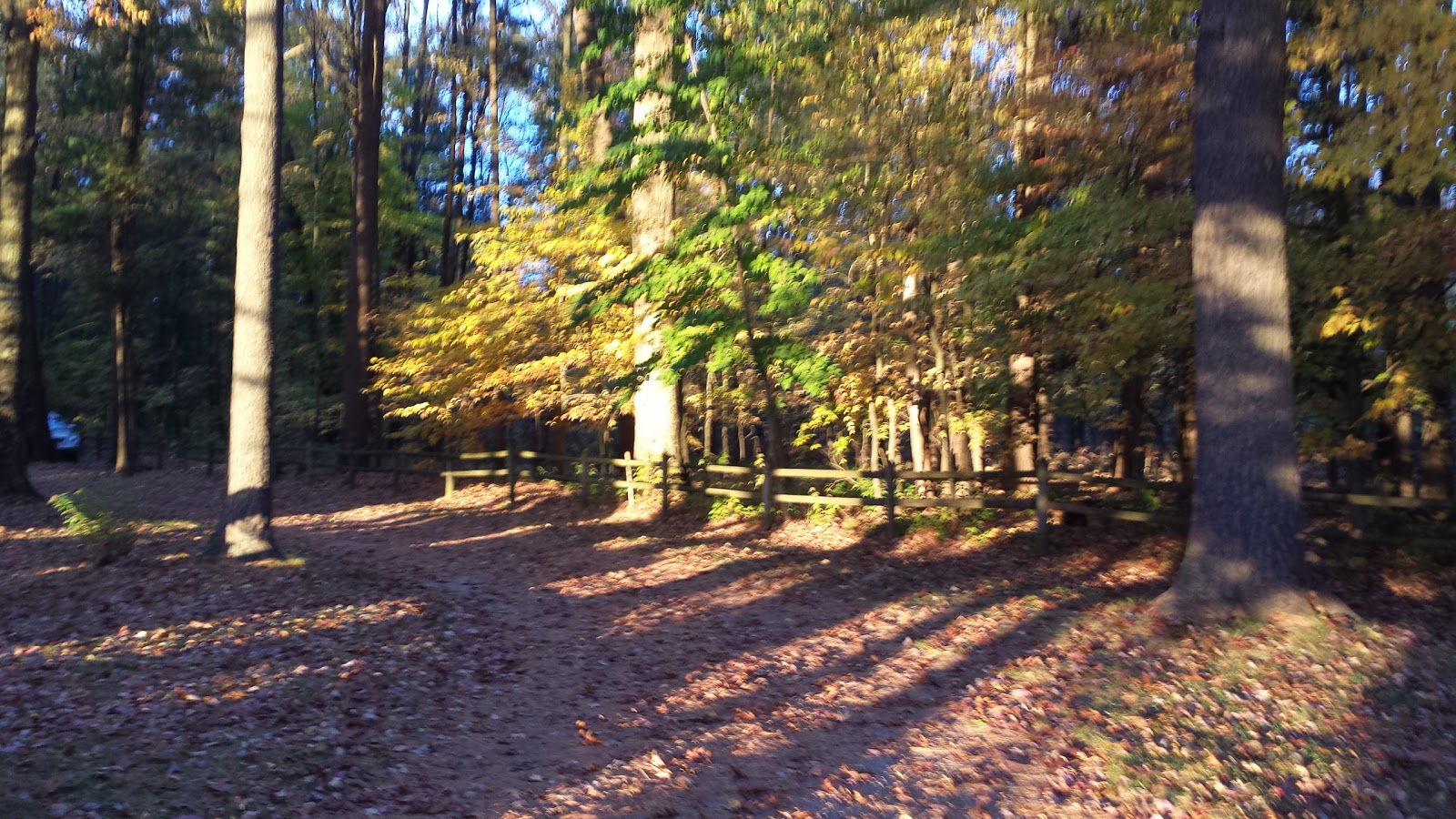 Timber Surf Camping Resort