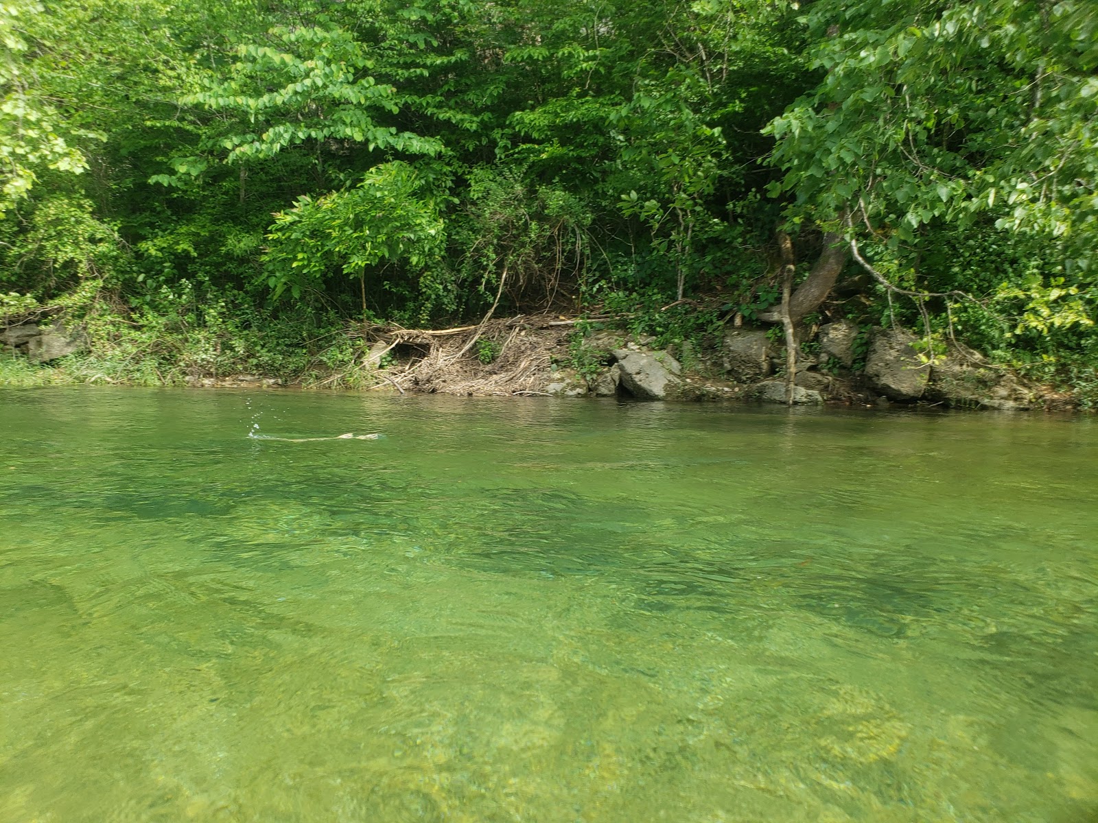 Sutton Bluff Campground
