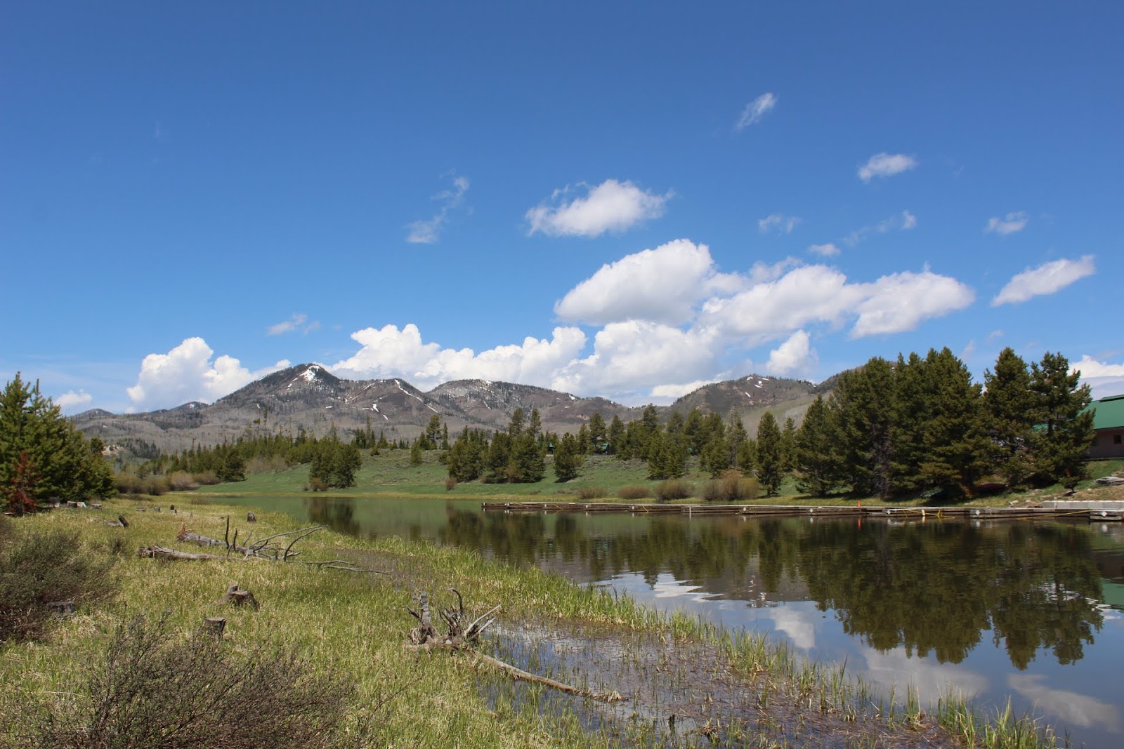 Bridge Island - Steamboat Lake State Park