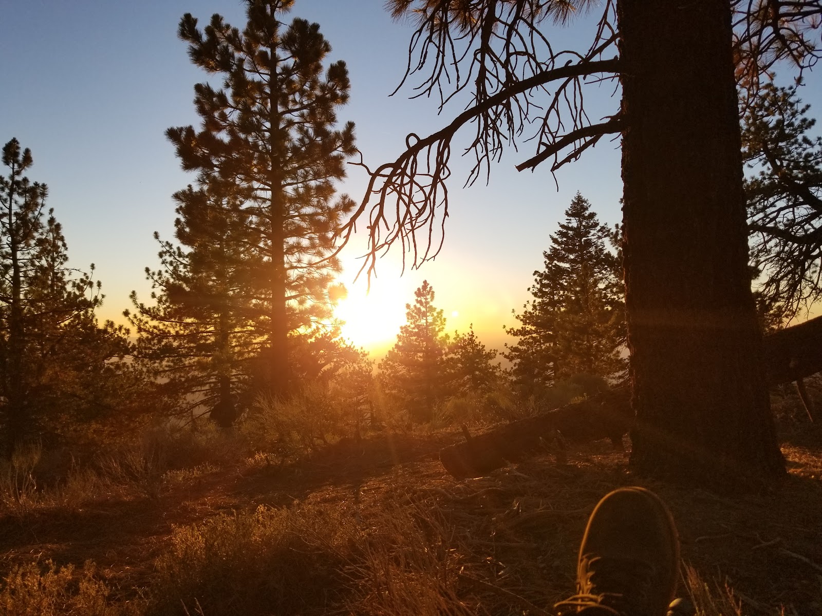 Campo Alto Campground