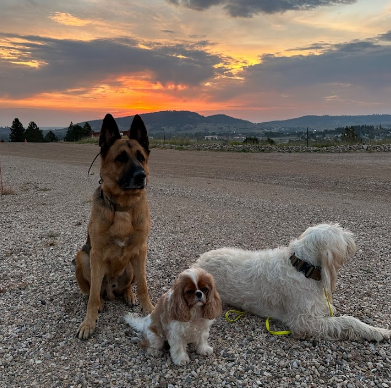 Black Hills Vista RV Park