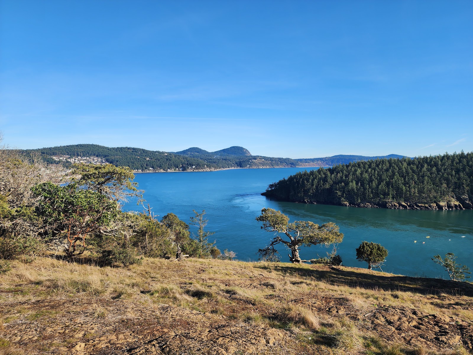 Washington City Park - Anacortes
