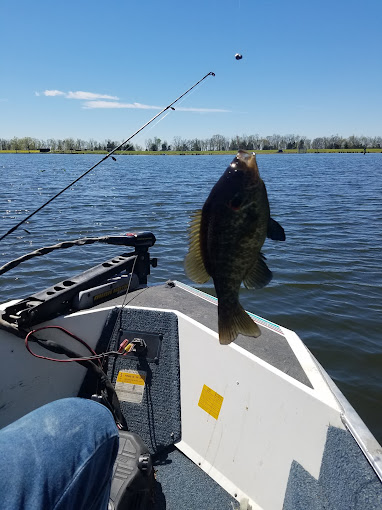 Two Moons Rising Country Lodge
