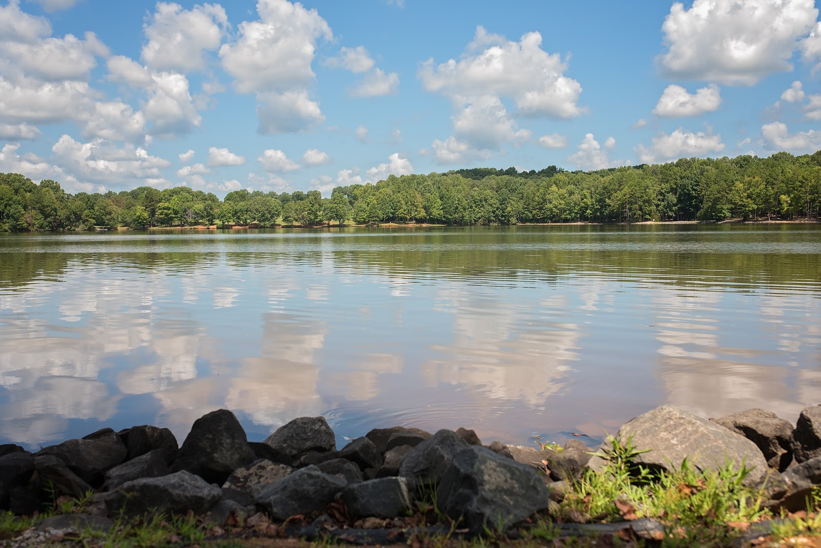 Cane Creek Park Camping