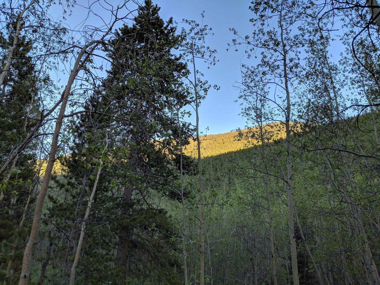 West Chicago Creek Campground