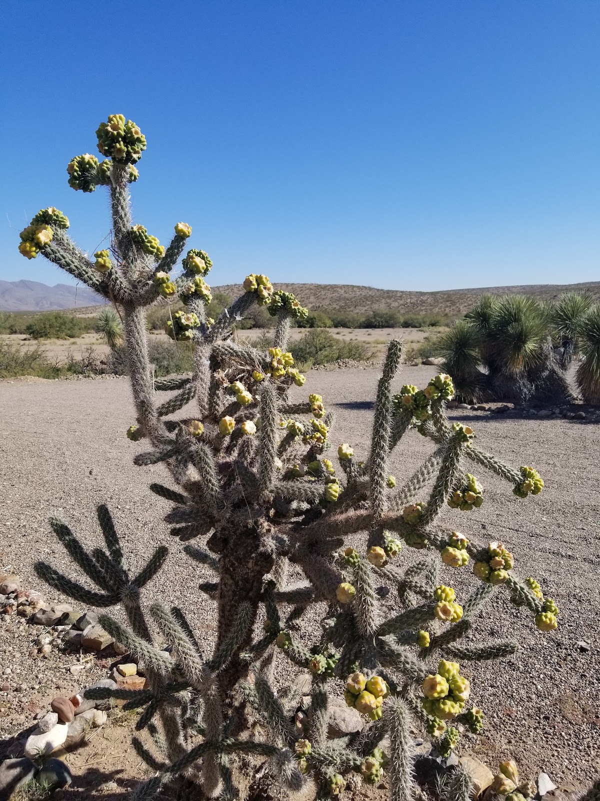 Hidden Valley Ranch Resort