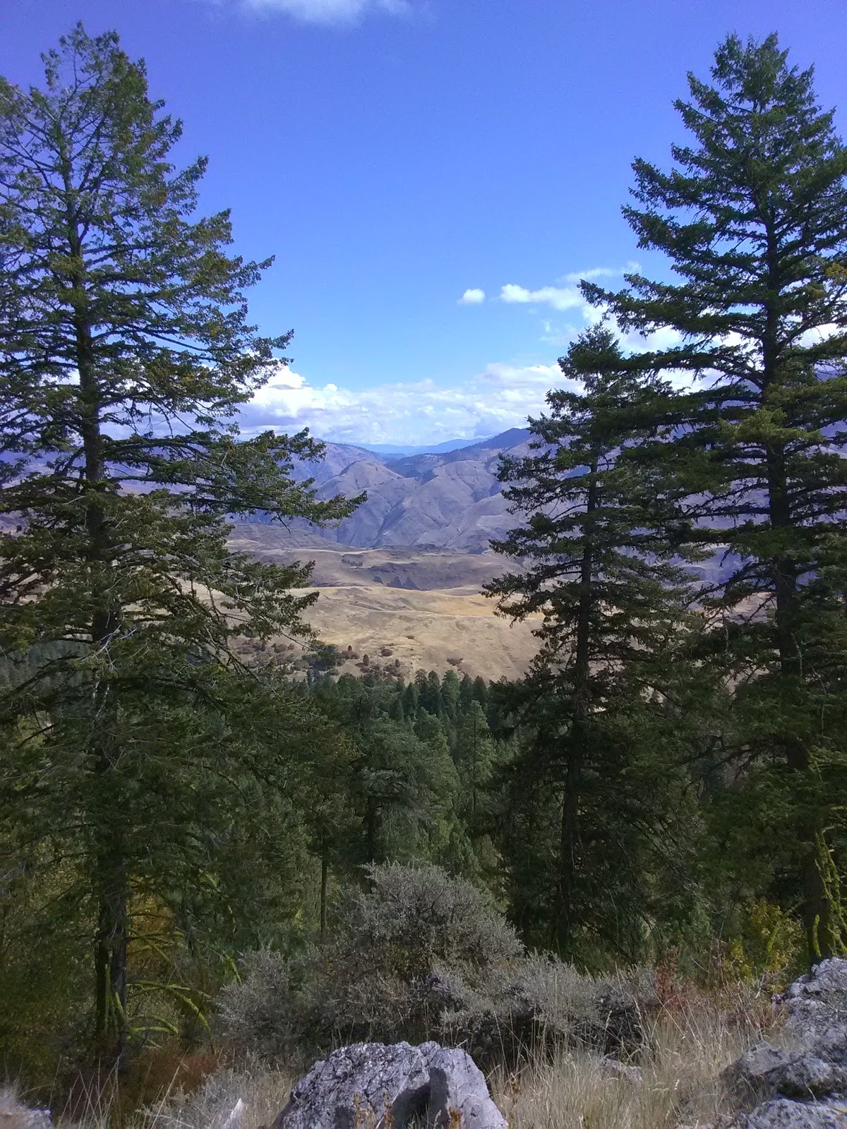 Windy Saddle Horse Camp