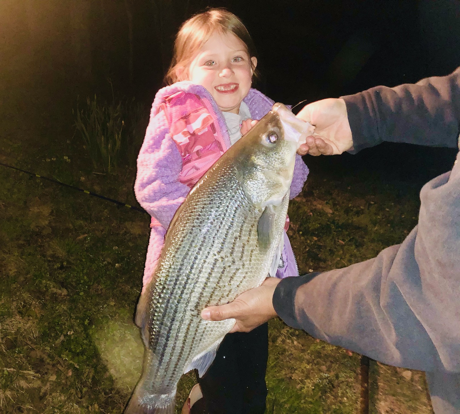 Cranberry NF Campground