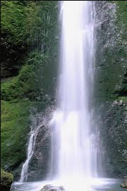 Sequim Bay State Park