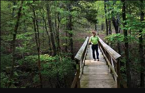 Ozark Highlands National Recreation Trail