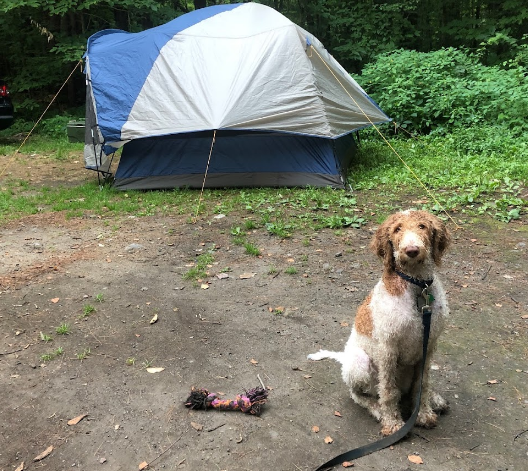 Austin F. Hawes Memorial Campground