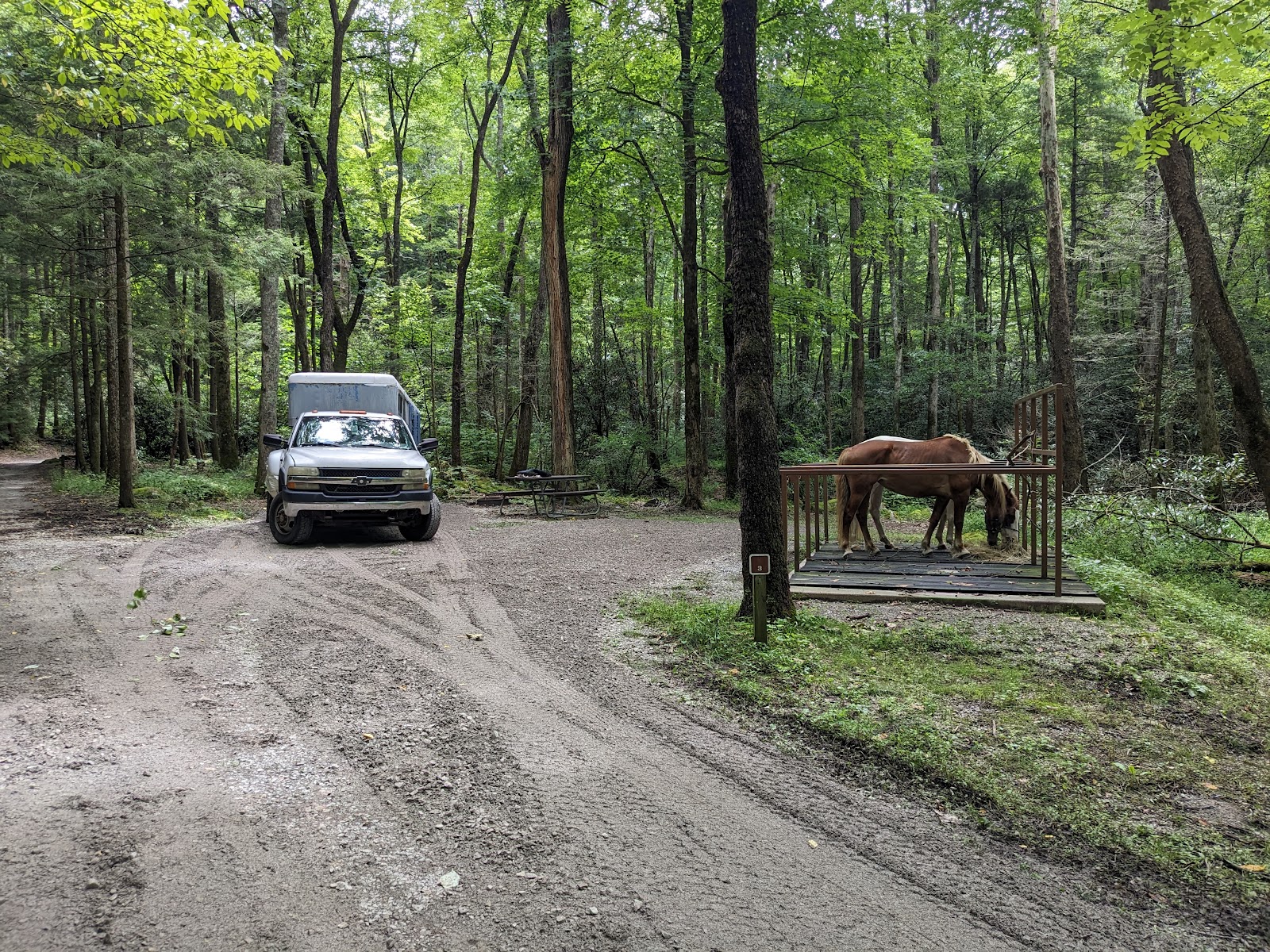 Anthony Creek Horse Camp