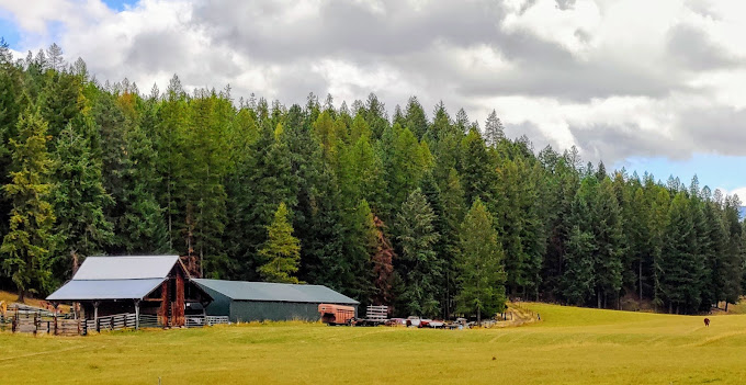 Birdland Bay RV Resort