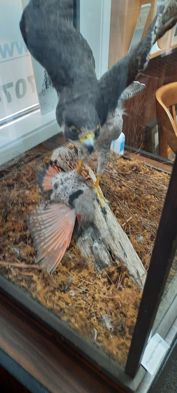 Mad River Campground