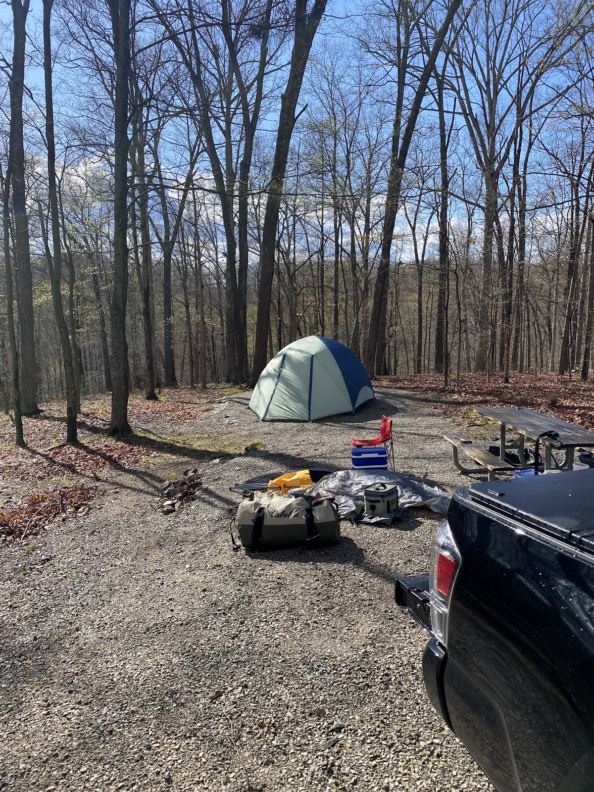Hardin Ridge Blue Gill