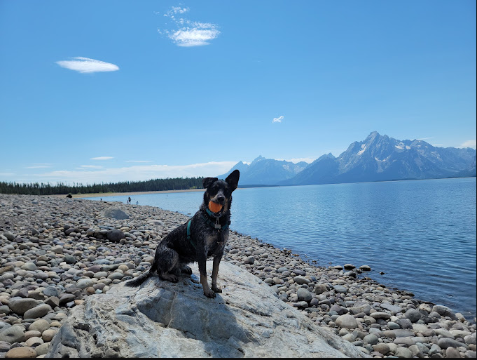 Colter Bay Campground
