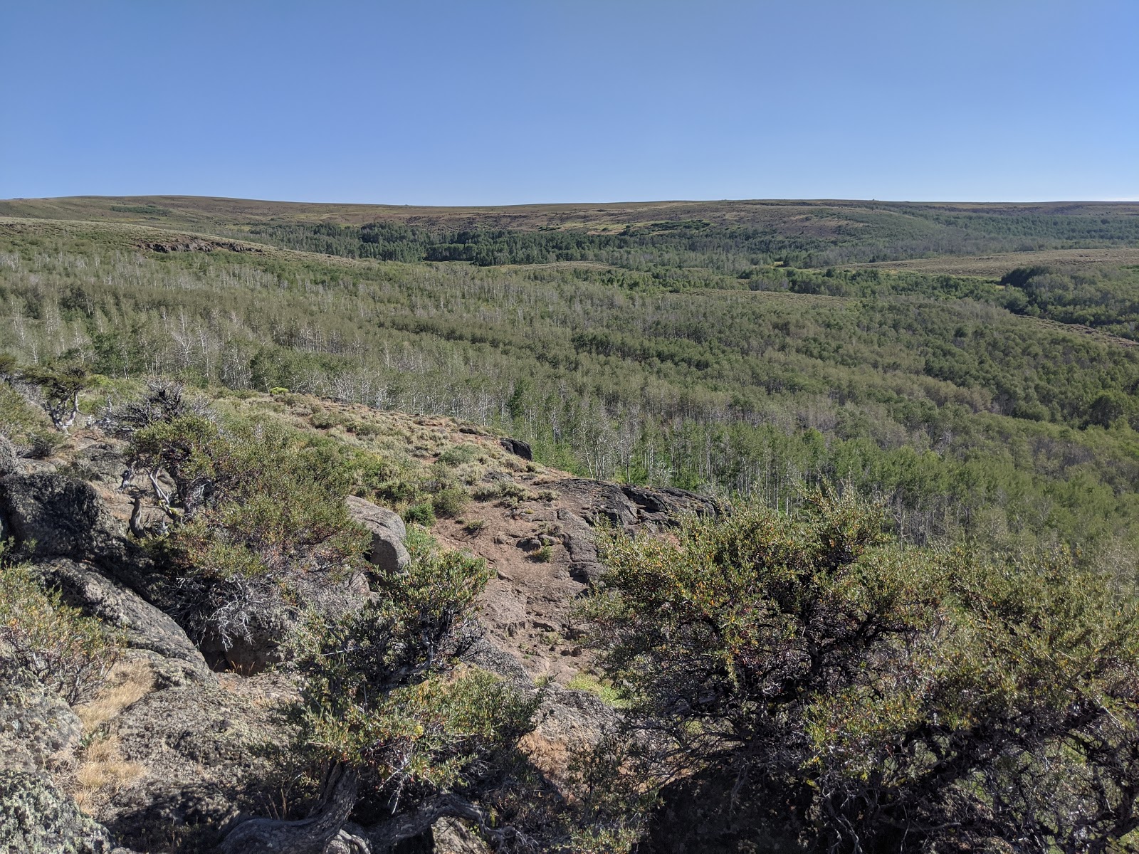 Jackman Park Campground