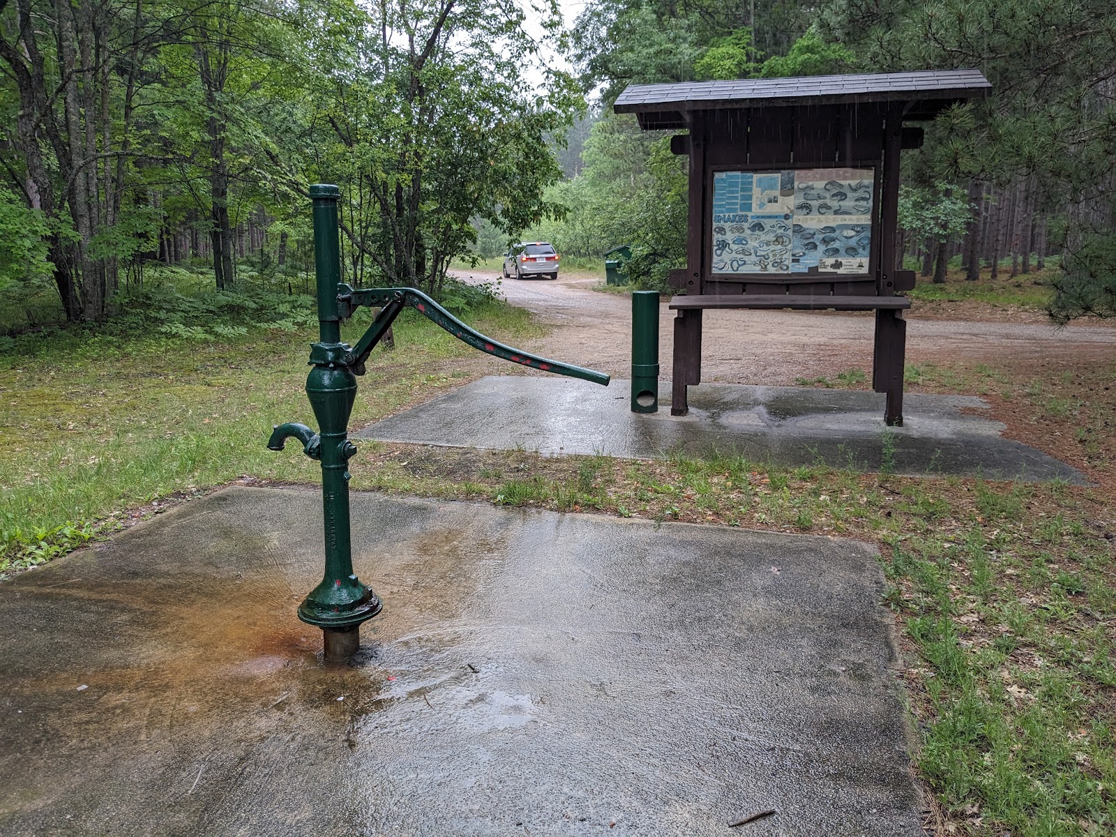 Upper Manistee River SF Campground