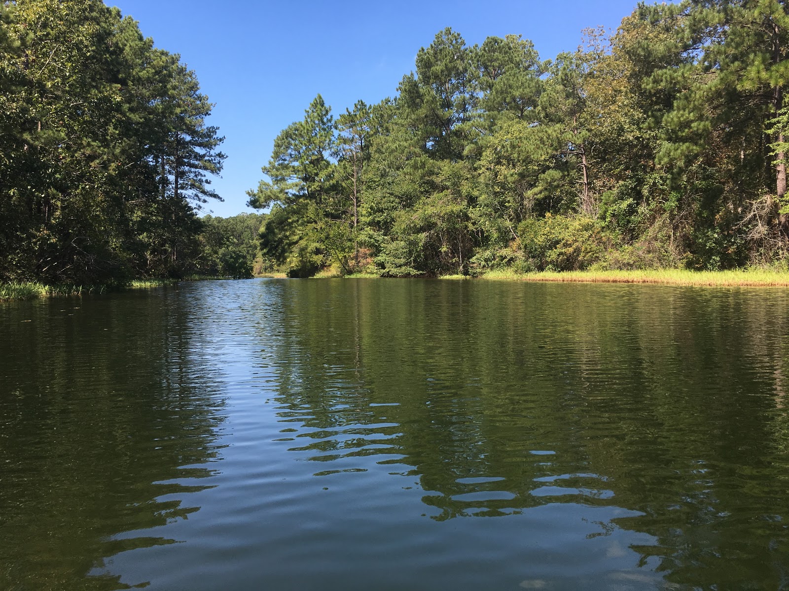 Weston Lake Recreation Area