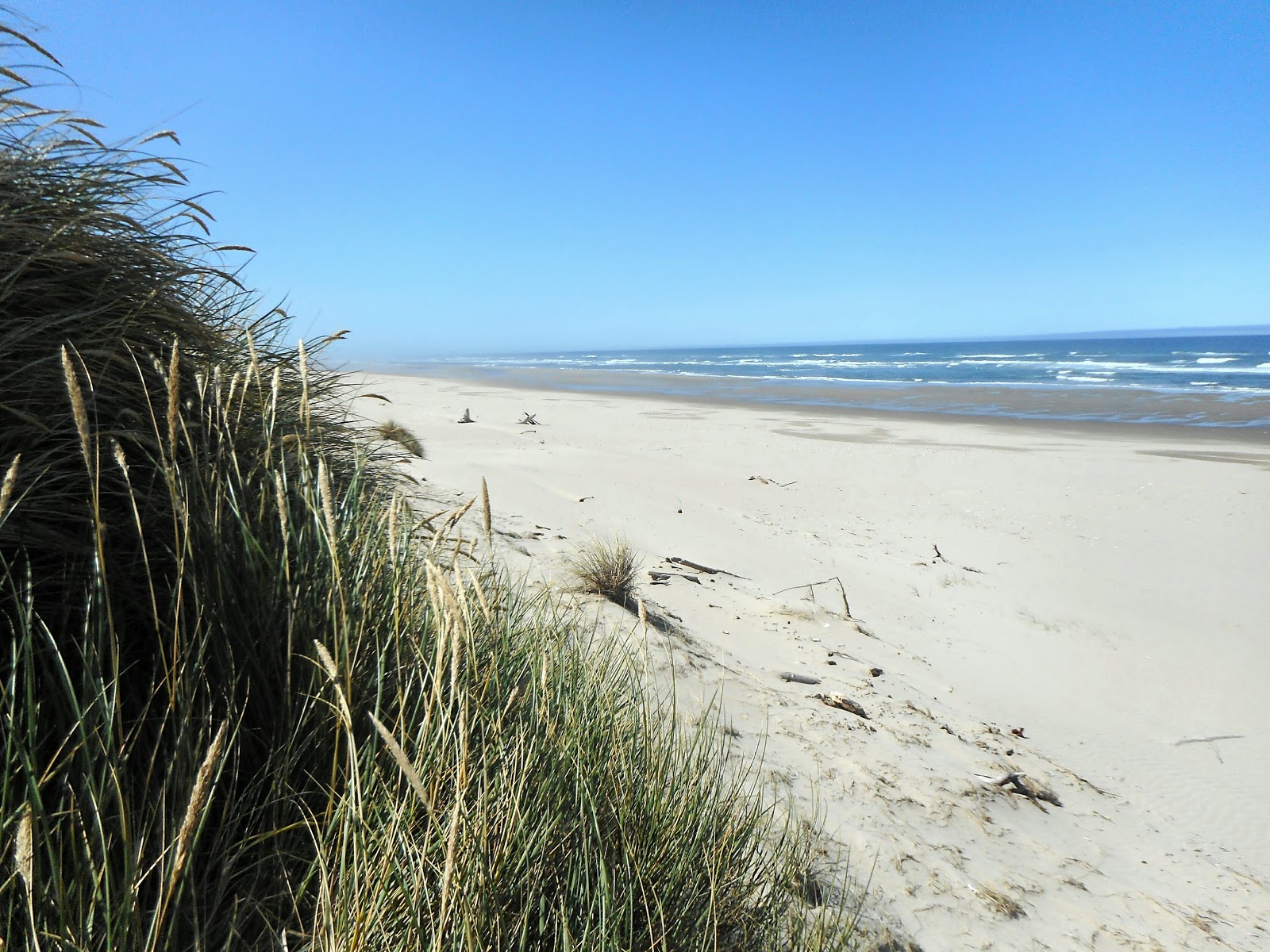 Carter Lake Campground
