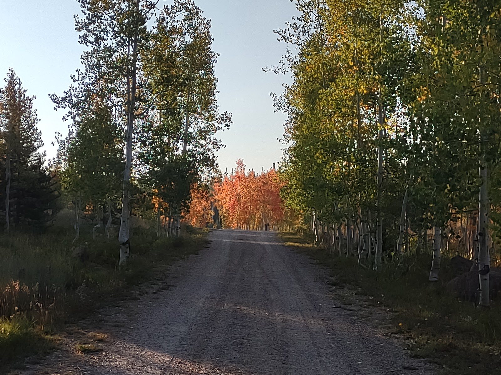 Freeman Reservoir Campground
