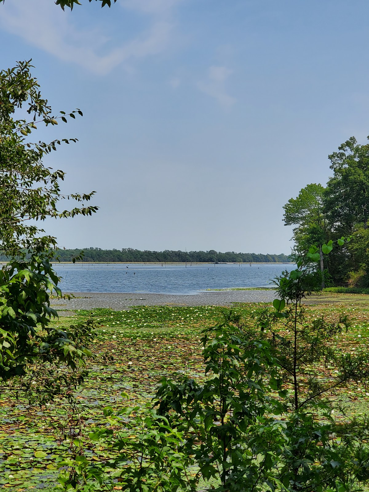 Cane Creek Campground
