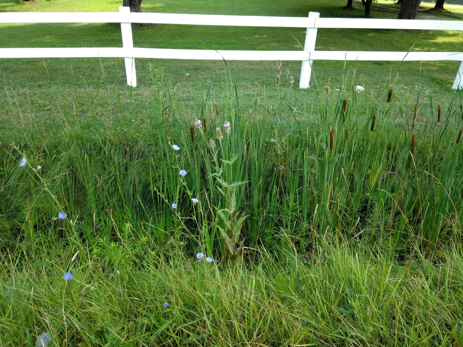 Shangri-La by the Lake