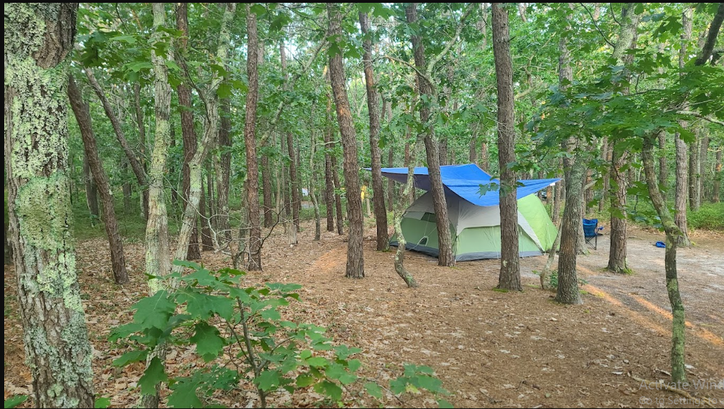 Wellfleet Hollow State Campground