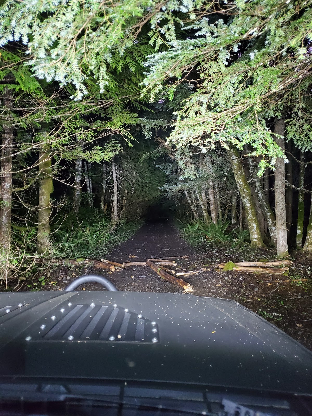 Evans Creek ORV Campground