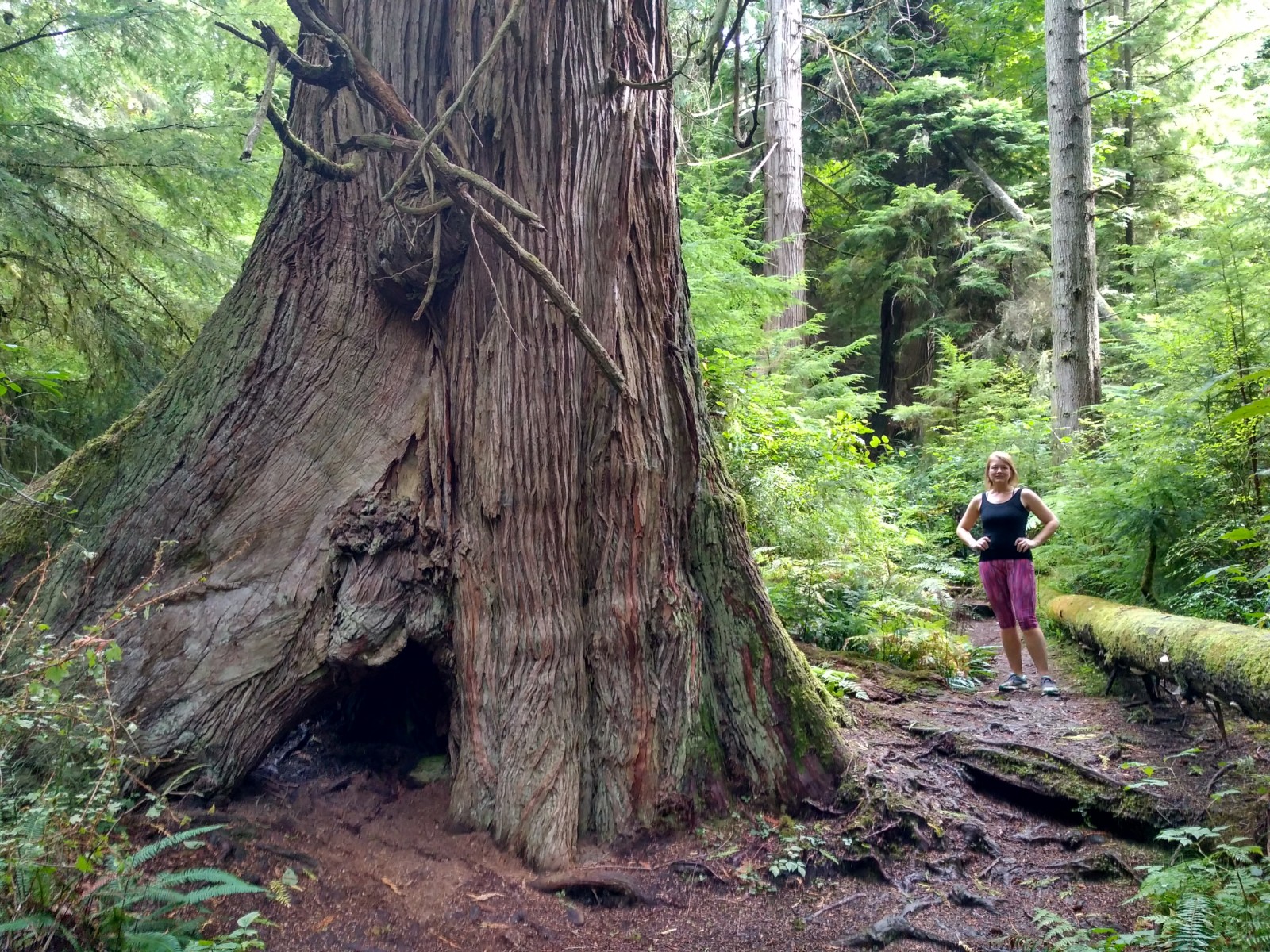South Whidbey Island State Park