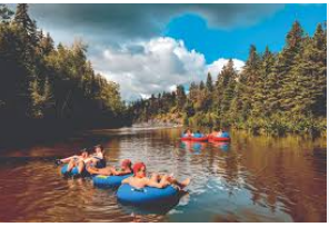 Fiddlehead Campground