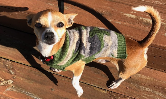 Little Charlie Creek RV Park