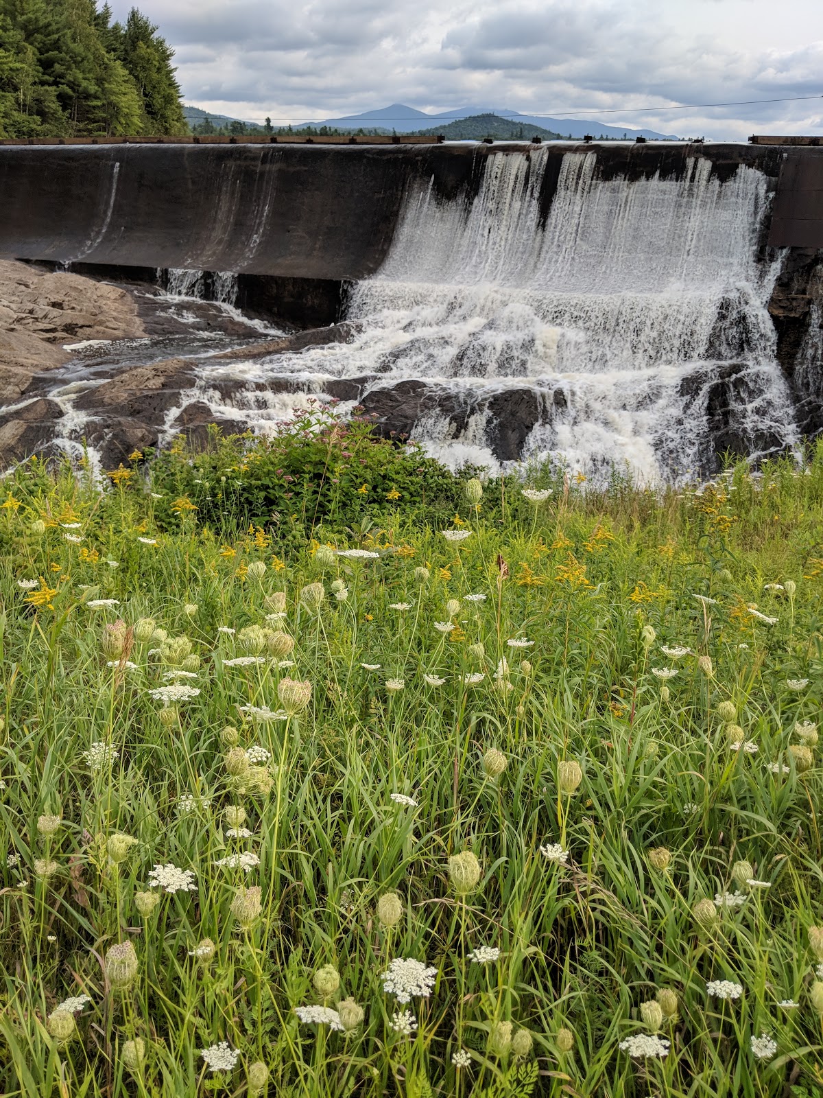 Mc Intyre's Campsite